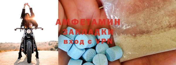хмурый Тайга