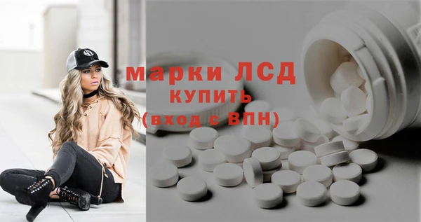 spice Бородино