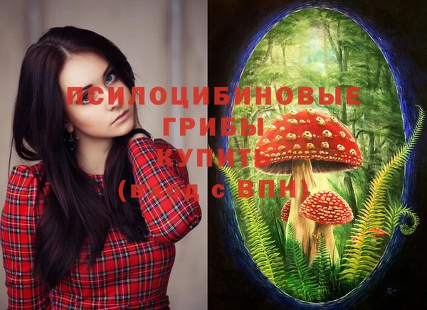 прущая мука Бугульма