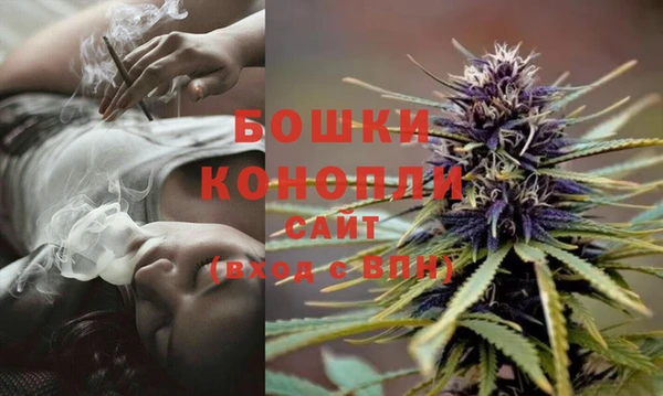 spice Бородино