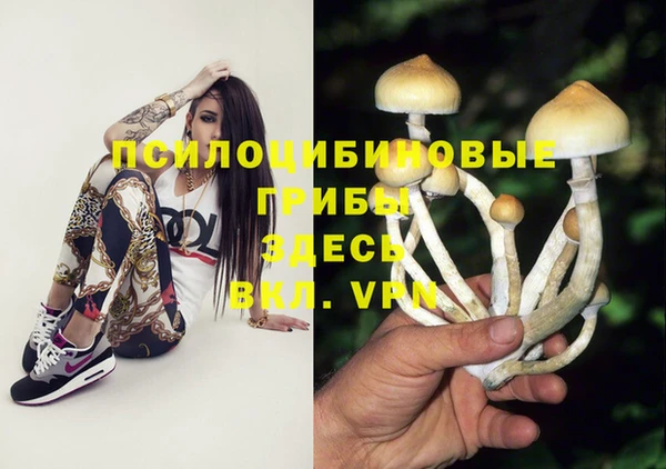 прущая мука Бугульма