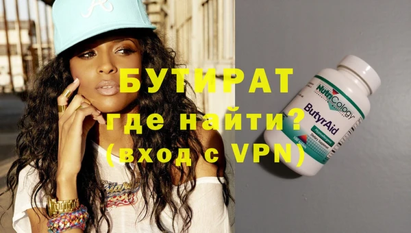 хмурый Тайга