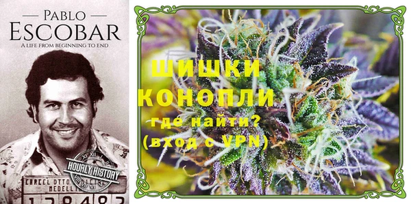 ПСИЛОЦИБИНОВЫЕ ГРИБЫ Бронницы