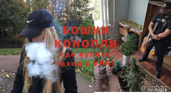 spice Бородино