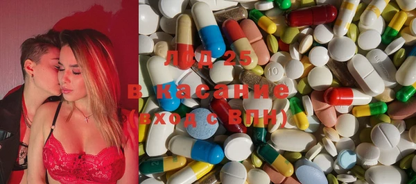 spice Бородино