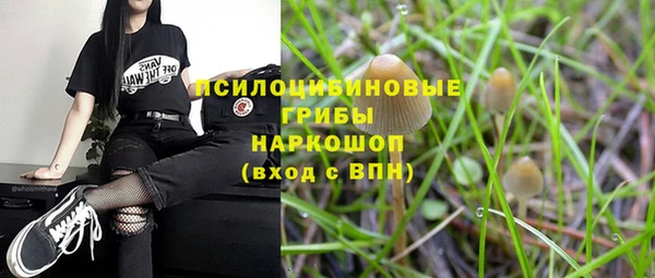 spice Бородино