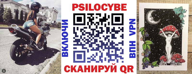 где купить наркоту  Киреевск  Галлюциногенные грибы мицелий 